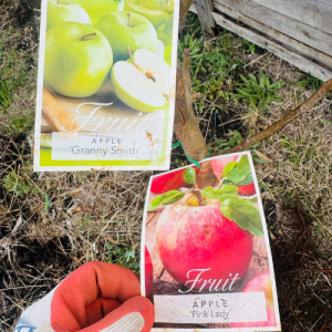 2 way Apple Granny smith