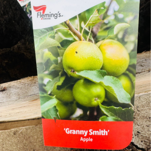 Granny Smith Apple Tree