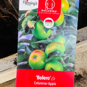 Bolero Apple - Ballerina Tree